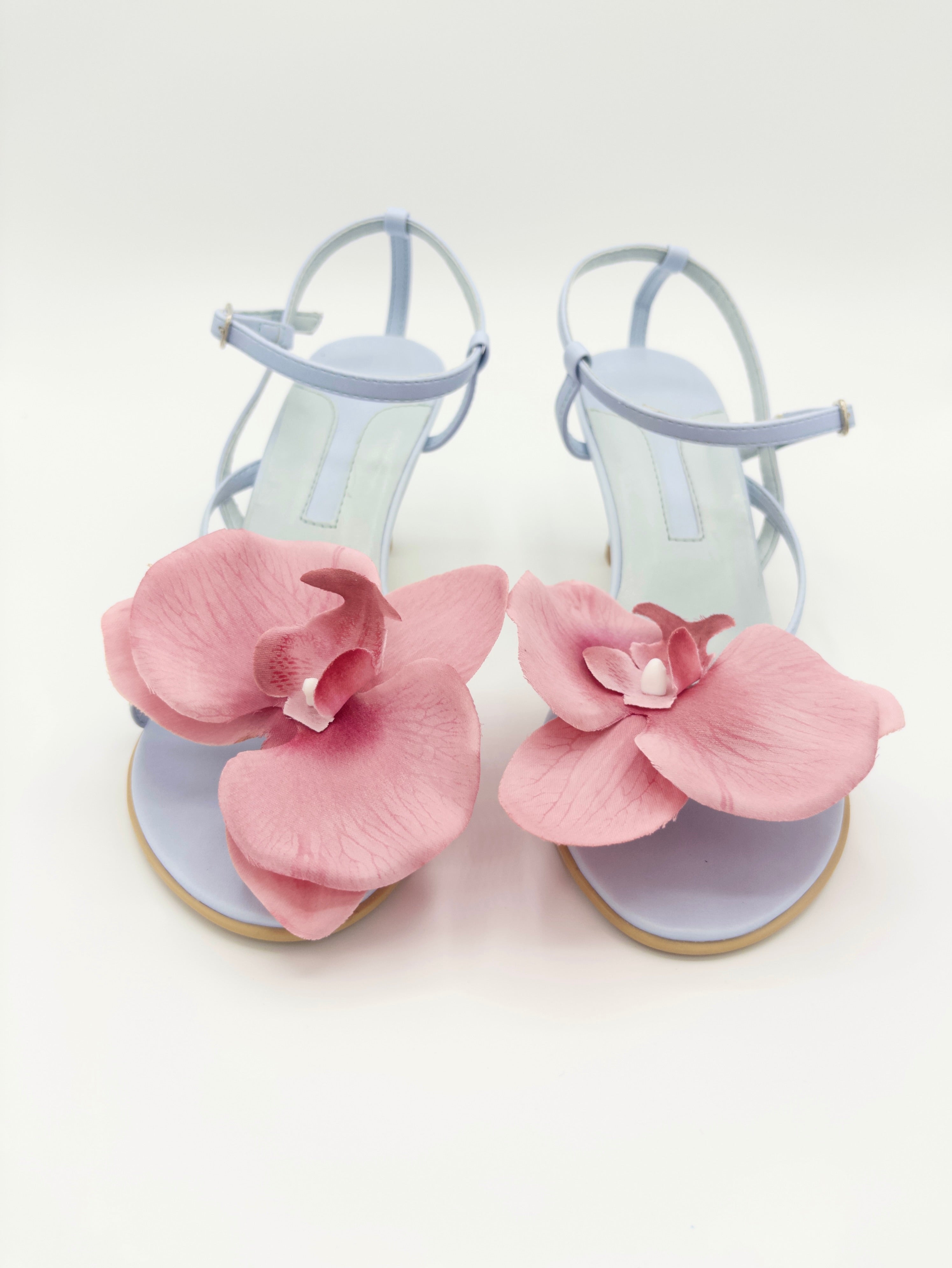 DSC_301 — Sandalia celeste